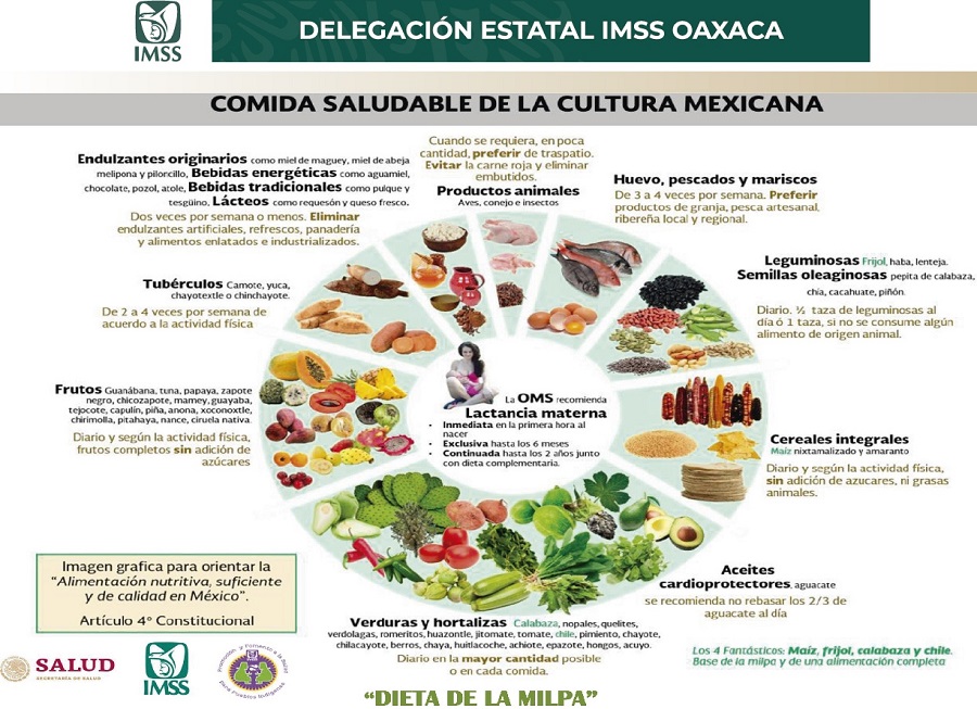 Desarrolla INSP guías alimentarias saludables y sostenibles – Expresión